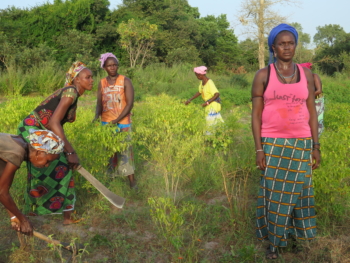 mujeres, Senegal