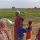 mujeres mauritanas en la huerta Nerewalo